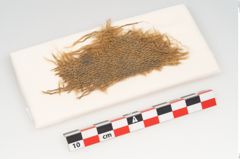 Foto von Textil (NHMW-PRAE-120710)